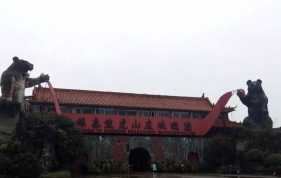 饲养员在虎笼搞卫生 竟被老虎咬死在笼子