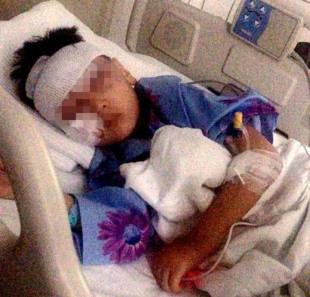流浪狗咬伤8人 律师：遗弃流浪狗的主人应承担责任