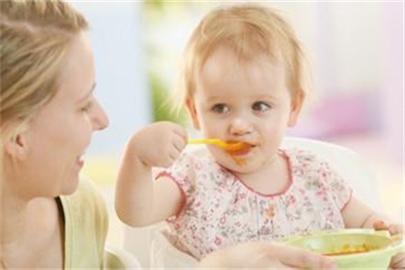 怎樣製作寶寶輔食？新手爸媽如何選擇帶給寶寶全方位營養