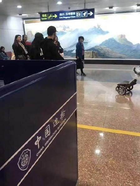 北京機場偶遇baby和小海綿 黃曉明baby一家三口都是高顏值