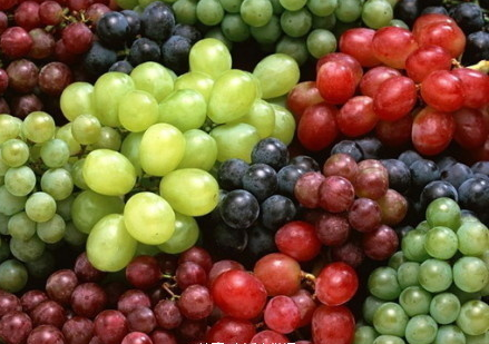 不同种颜色的葡萄都有什么样的养生功效？