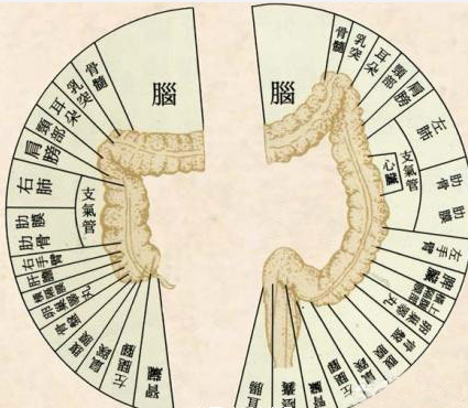 10种食物为肠道排毒 你们知道它们的功能吗