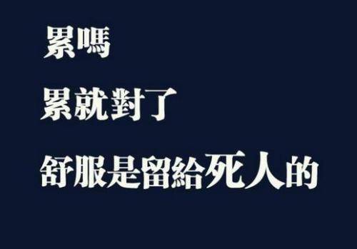 无时不刻都在打鸡血 不是励志是有病