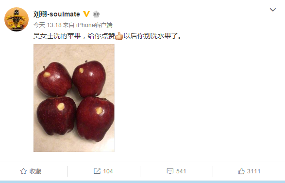 刘翔吐槽老婆吴莎：以后别洗水果了