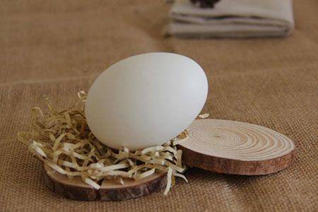 孕婦經常吃鵝蛋對我們的身體有什麼樣的好處？