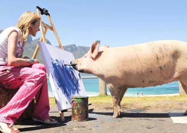 南非“豬加索” 一畫值千金？