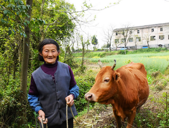 七旬老人独自养子50余年 只因儿子有脑膜炎怕没有照顾