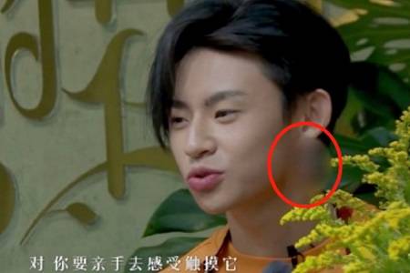 广电新规,男艺人上节目不可戴耳钉,网友:时代在倒退了吗