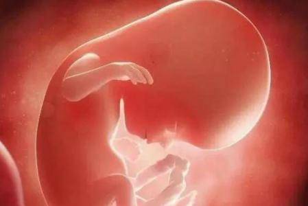 导致胎儿畸形的原因有哪些，哪几周是胎儿异常高发期