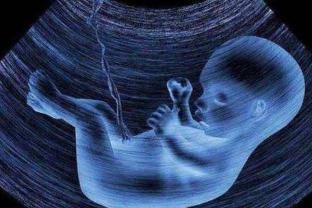 孕中期食譜大全 孕中期吃什麼對胎兒智力發育好