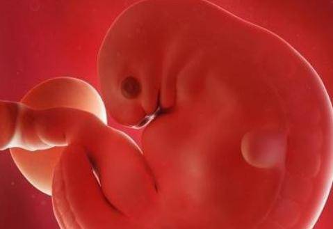 孕囊大小是什么样子的 怀孕40天孕囊有多大？