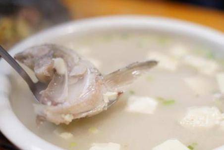 黑魚湯營養又不腥的做法 黑魚湯的功效價值高