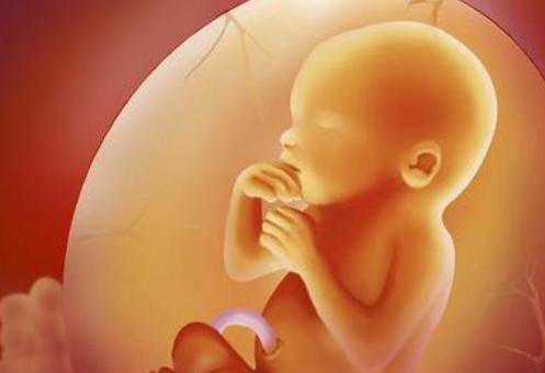 怀孕几个月容易出现胎儿畸形?孕妈妈要怎么预防?