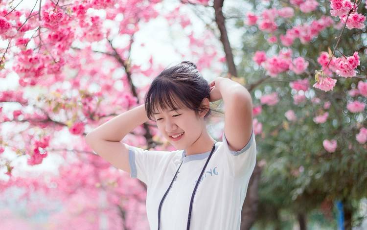 李冰冰被翻译抢镜