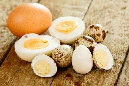 鵪鶉蛋和雞蛋哪個更好？鵪鶉蛋的作用以及功能