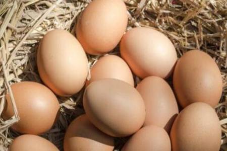 雞蛋價格為什麼暴漲 雞蛋保質期是多長會不會過期