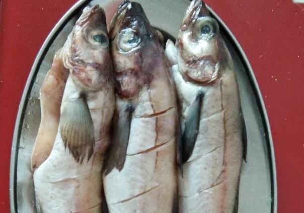 明太魚是什麼魚 吉林延邊的明太魚怎麼做才好吃？