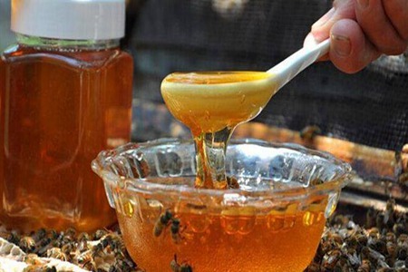 蜂蜜不結晶是假的還是變質了 真假鑒別方法推薦