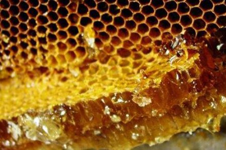 蜂胶的作用与功效，这五个功效美容养颜提高免疫力