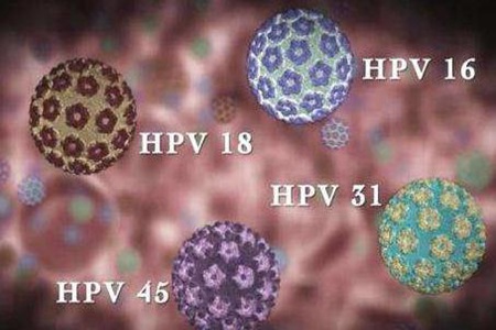 男性也会感染HPV吗 关于HPV你了解多少