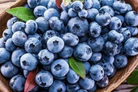 藍莓一天吃多少為宜？（藍莓干癟了還能吃嗎？）